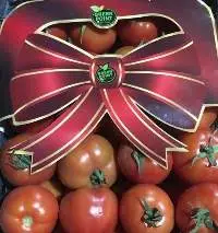 Fresh Tomato
