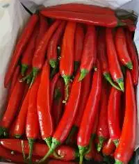 Fresh Chili