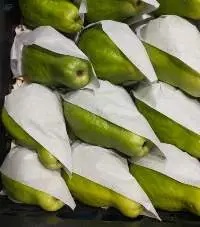 Fresh Guava