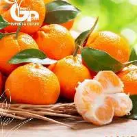 Fresh Mandarins
