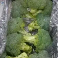 Fresh Broccoli