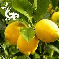 Fresh Lemons