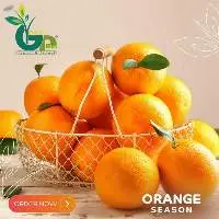 Fresh Valencia orange New Season 2023