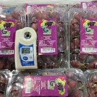 Fresh Grapes