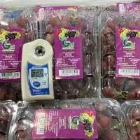 Fresh Grapes