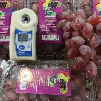 Fresh Grapes