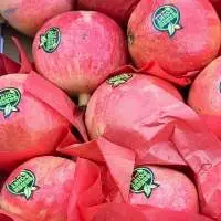fresh wonderful pomegranate