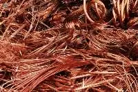 Copper Millberry