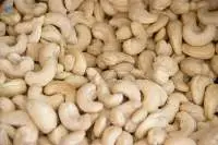Cashew Nuts