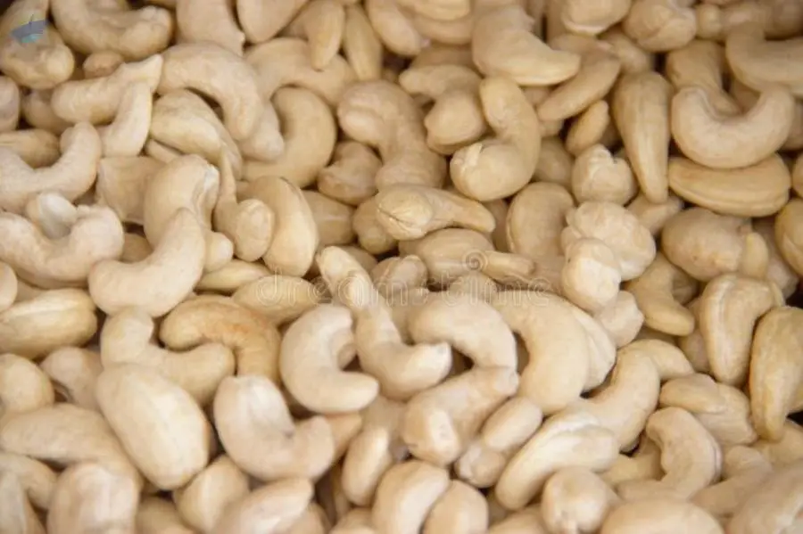 Cashew Nuts