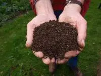 Vermi Compost