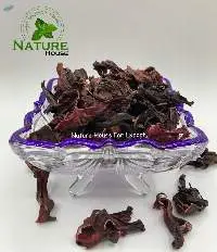 Hibiscus Flower (Hibiscus)