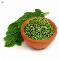 Moringa
