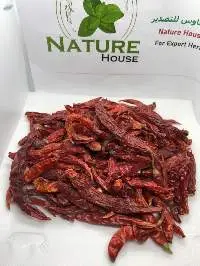 Red Chilli