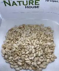 Melon Seeds