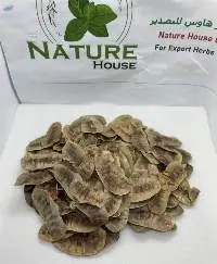 Senna Pods