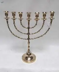 Brass Menorah, 9-light Candelabra
