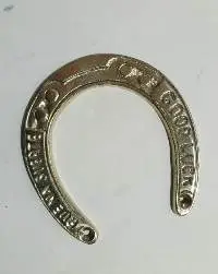 Brass Horse Shoe