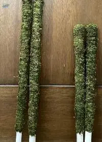Pole Moss