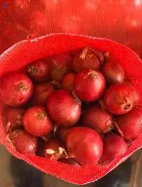 Red/Purple Onion