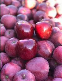RD Apple