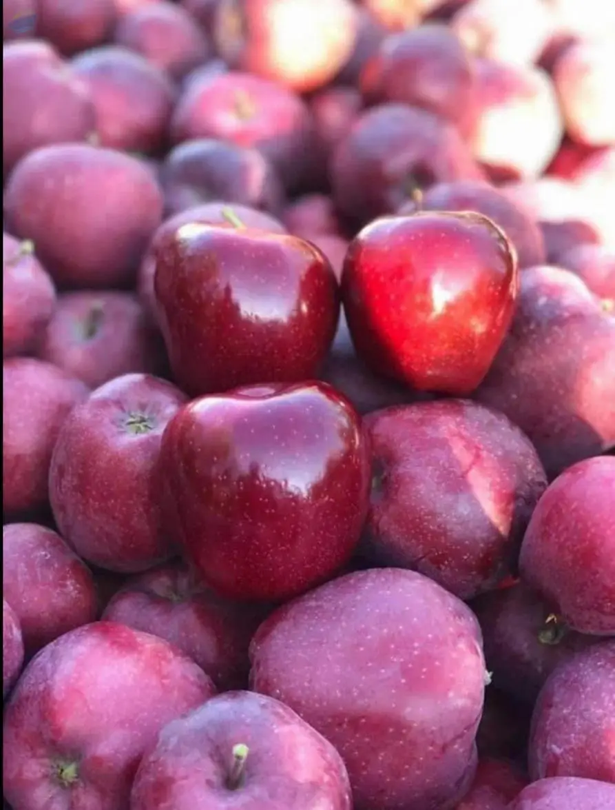 RD Apple