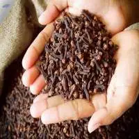 Cloves / Syzygium Aromaticum