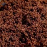 Coconut Peat