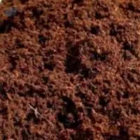 Coconut Peat