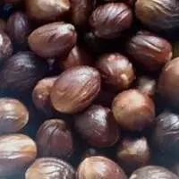 Nutmeg ( Myristica Fragrans  )