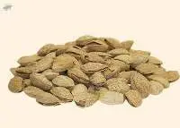 Starbay Almond