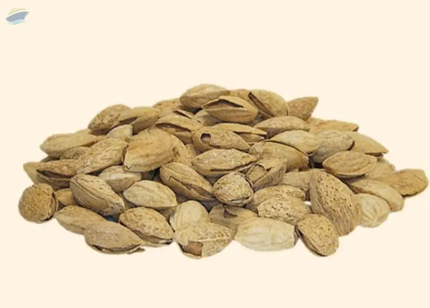 Starbay Almond