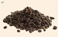 Handpicked Mulberry From Aghanistan