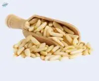 Pine Nuts