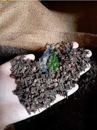 Lalpari Clove