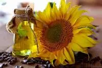 Sunflower Oil