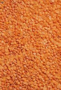 Lentils