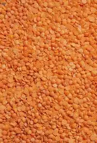 Lentils