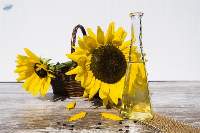 Sunflower Oil