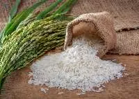 Rice