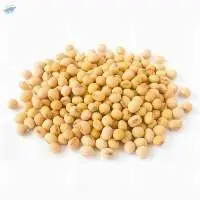 Soybean Non GMO
