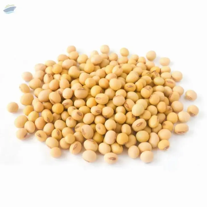 Soybean Non GMO