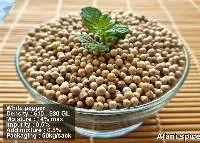 White Pepper