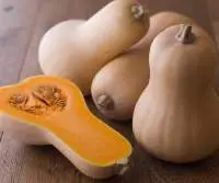 Butternut Pumpkin or Butternut Squash