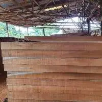 Teak