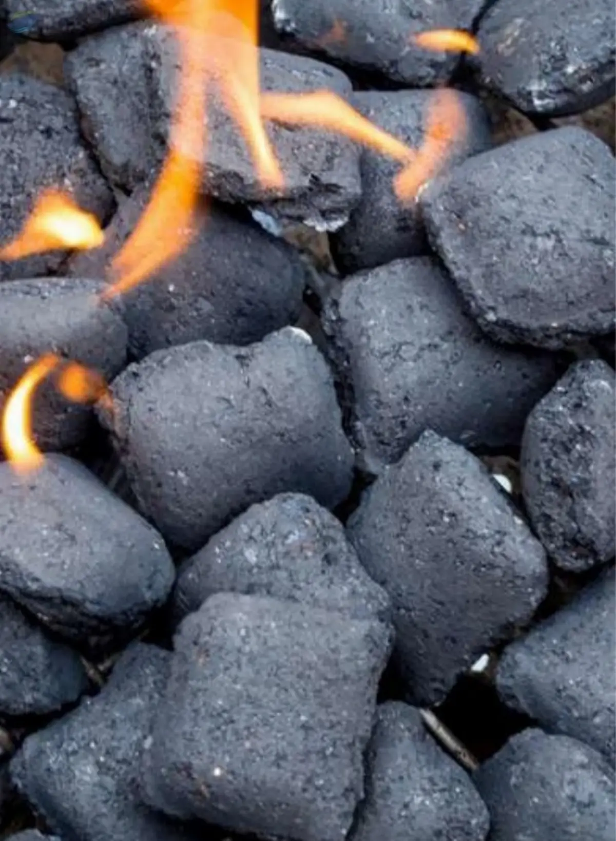 Coconut Briquette