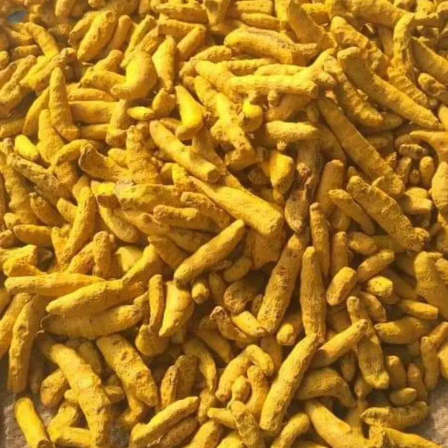 Dry Turmeric