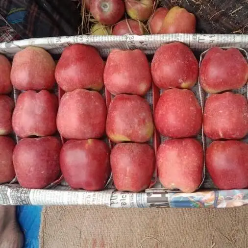 Kashmiri Apples