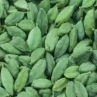 Green Cardamom