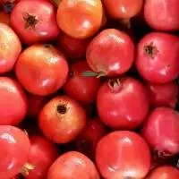 Pomegranate